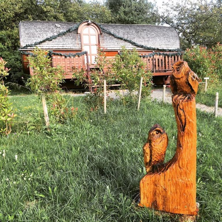 Le Chalet Du Chemin Et Sa Roulotte Berviller-en-Moselle エクステリア 写真