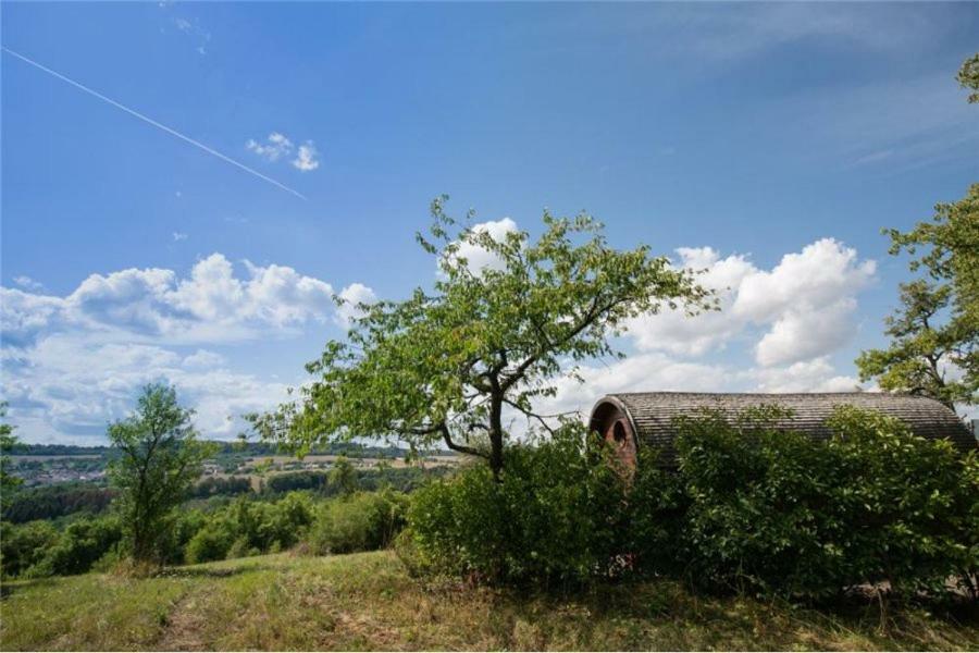 Le Chalet Du Chemin Et Sa Roulotte Berviller-en-Moselle エクステリア 写真